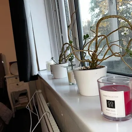 1-Bed Flat With Fast Wi-Fi In Prime Location 15Mins From Central Londres Extérieur photo