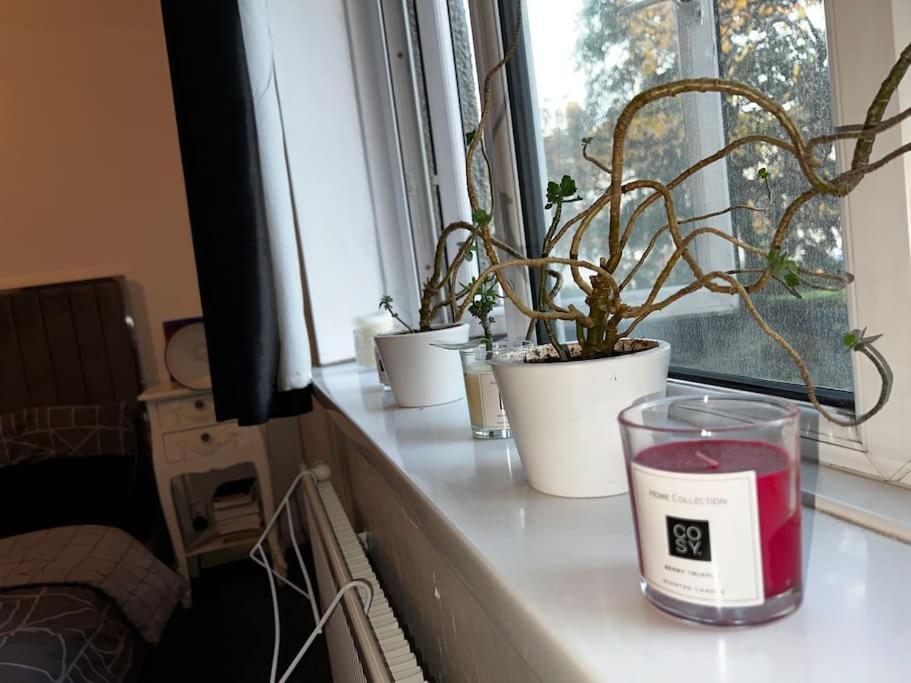 1-bed Flat With Fast Wi-fi In Prime Location 15mins From Appartement