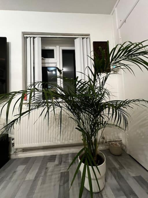 Appartement 1-bed Flat With Fast Wi-fi In Prime Location 15mins From Londres